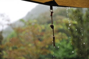 雨どい