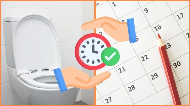 春日部のトイレ交換、何日で終わる?“内装同時”で時短するコツ