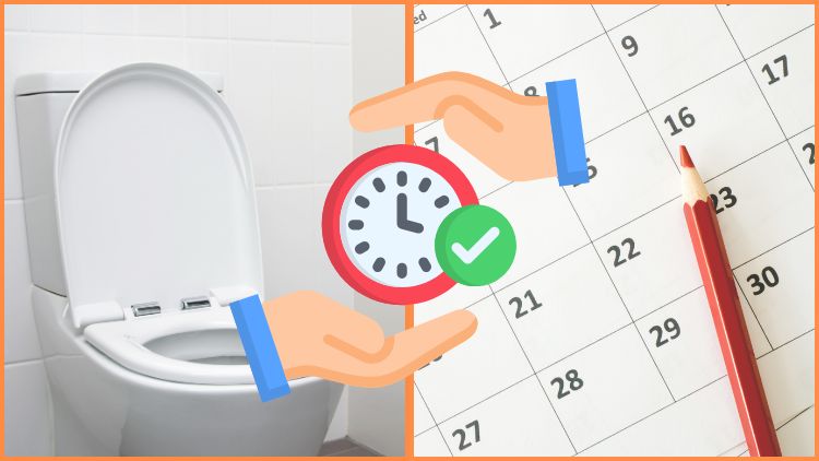春日部のトイレ交換、何日で終わる？“内装同時”で時短するコツ