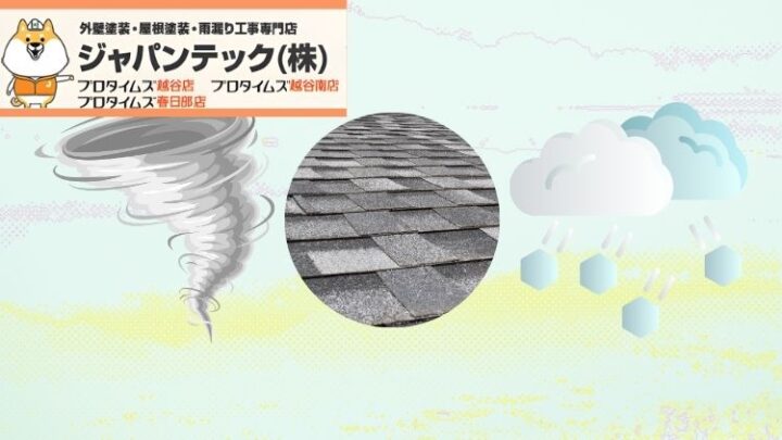台風・雹にどこまで強い?ディプロマット耐候の真相