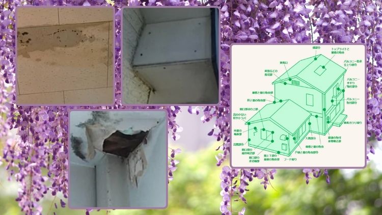 雨漏り・屋根トラブルとメンテナンスのポイント