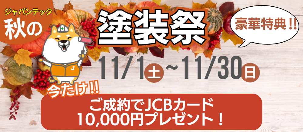 11月キャンペーン