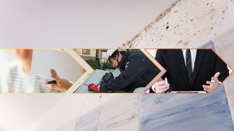 天井シミが出た際の正しい調査の流れ