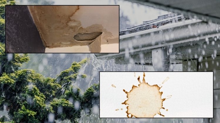 要注意|今すぐ点検すべき天井シミの特徴