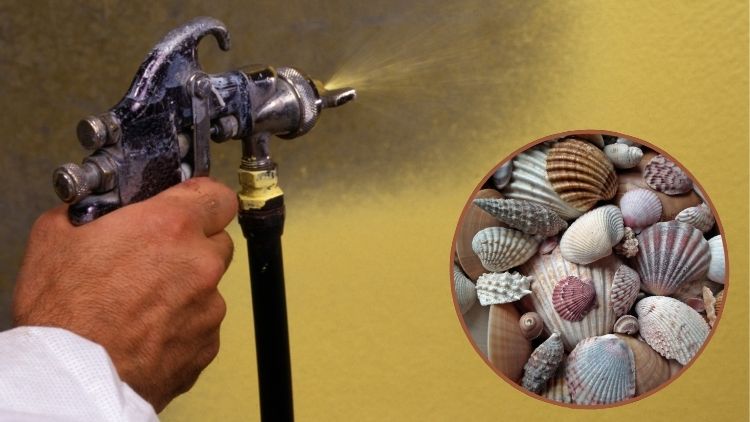 シーサンドコートを知る|外壁材としての基本構造