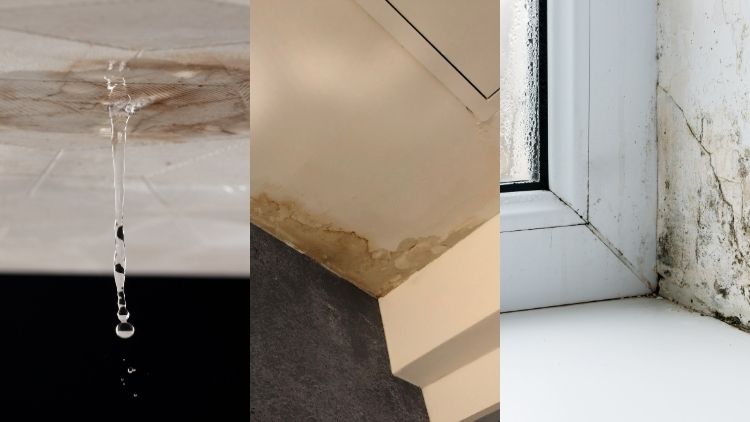 症状から当たりをつける:雨漏りの出方別チェック