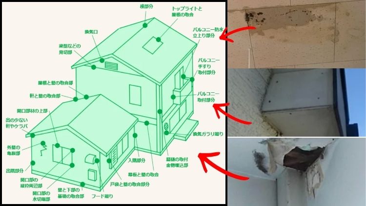 雨漏りの原因は屋根だけじゃない|越谷市・春日部市で多い発生箇所