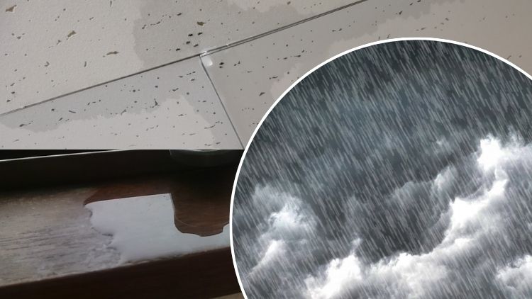 秋の荒天後は外装起点の相談が増える傾向