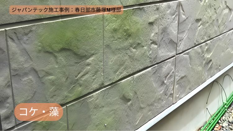 コケ・藻・汚れは防水性低下のサイン